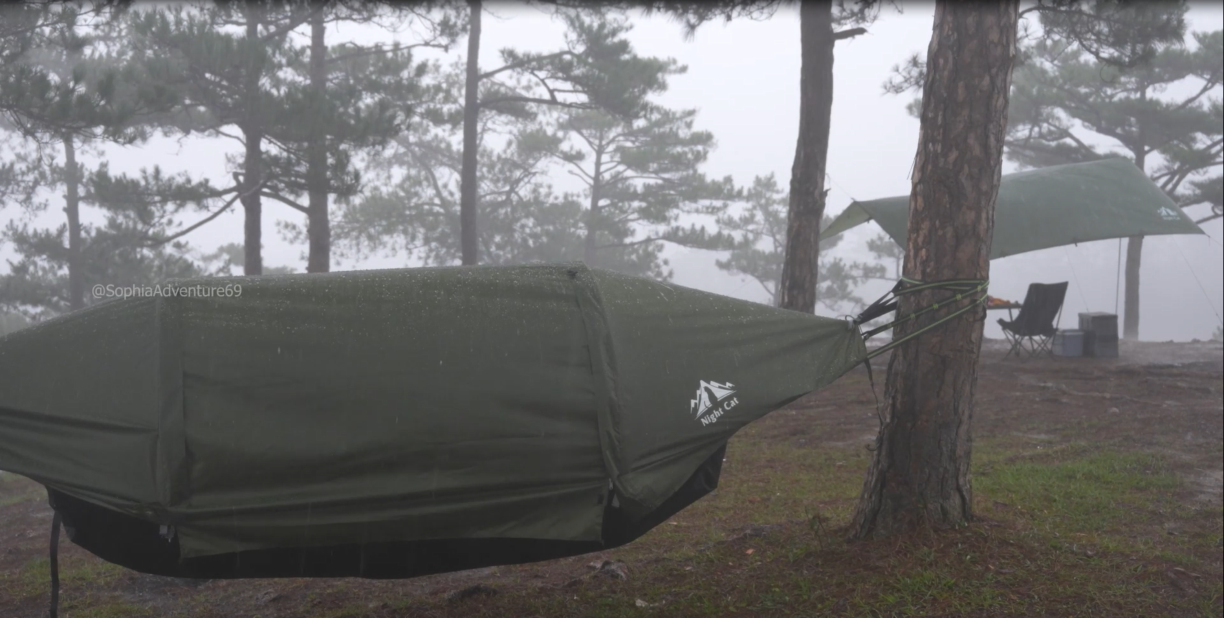Amazon.com: Night Cat Upgraded Flat Lay Hammock Tent Combo with